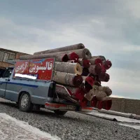 قالیشویی ومبل شویی آزادی|خدمات نظافت|سبزوار, مدرس|دیوار