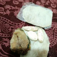 انگشتره فیروزه