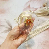 گوشواره پرده نو