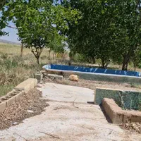 فروش زمین ۱۰۰۰ متری در کودیان ابپرده|فروش زمین و ملک کلنگی|شیراز, کودیان|دیوار