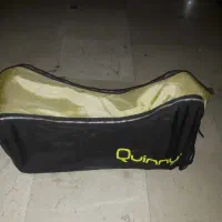 کالسکه مگسی گوسی (کویینی)