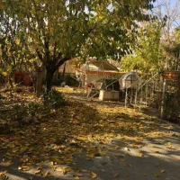 ویلا ۱۲۸۰ متر ۱۰۰ متر بنا کردان کوهسار|فروش خانه و ویلا|کوهسار (البرز), |دیوار