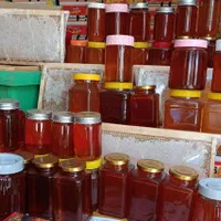 گون بهاره آویشن مرکبات...|خوردنی و آشامیدنی|سبزوار, باهنر|دیوار