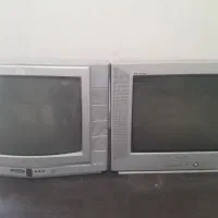 تلویزیون