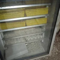 دستگاه جوجه کشی