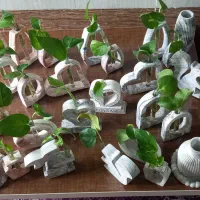 دکور سنگ مصنوعی (گلجا) با شاخه گل پتوس