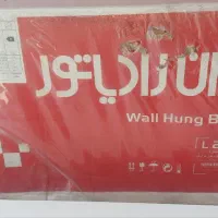 پکیج ایران رادیاتور ECO24ff