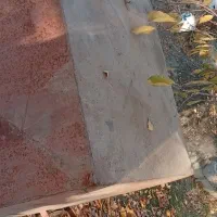 تانکر نفتی 5 بشکه|ماشین‌آلات صنعتی|سیلوانه, |دیوار