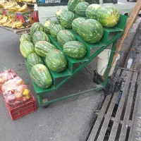 پالت هندوانه