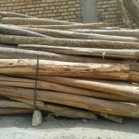 خریدار انواع چوب بید صنوبر باغی و تیرسقفی نقدی|خدمات باغبانی و درختکاری|الیگودرز, |دیوار