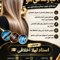 کلاس اموزشی احیای موهای اسیب دیده
