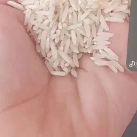 فروش برنج بادست بریده شده