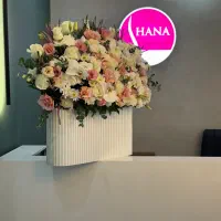 استخدام اپراتور شاتی کندلا و منشی زیبایی