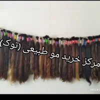 خریدار اصل مو میلیونی (توک ) تنها یک شعبه