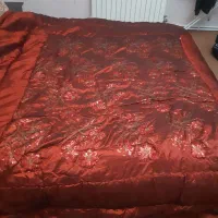 روتختی در حد نو نو