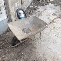 فرقون کاملا سالم