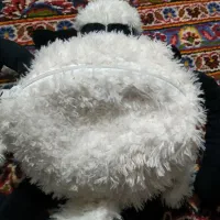 اسباب بازی کوله بره ناقلا  وعروسک خرس شاسخین وسگ|اسباب‌‌بازی|شیراز, شهرک گلستان شمالی|دیوار