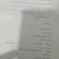 زمین|فروش زمین و ملک کلنگی|رشت, عینک|دیوار