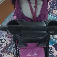 کالسکه دلیجان درحدنو