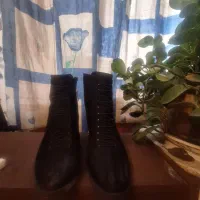 نیم بوت مجلسی