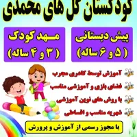 کودکستان پیش دبستانی مهدکودک خانه بازی گلهای محمدی