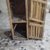 جفت قفس کفتر مرغ خروس و...