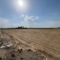 زمین مزروعی ۹ هکتار سند ملک|فروش زمین و ملک کلنگی|مشهد, لقمانی|دیوار