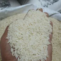 برنج علی‌کاظمی درجه ۱ دورود