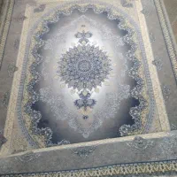 فرش ناهین|فرش|شیراز, شهرک رضوان|دیوار