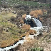 کمک و همراهی افراد سن بالا