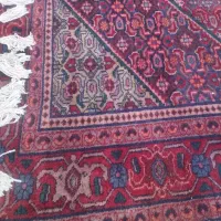 فرش دستباف|فرش|زنجان, |دیوار