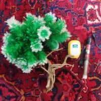 لوازم آکواریوم