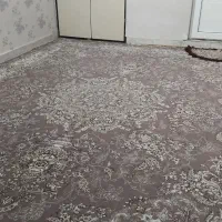 فرش ۱۲ متره ۷۰۰ شانه .قیمت ۱۴ میلیون
