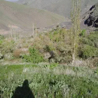 زمین میوه در بهترین نقطه وبهترین آب وهوا