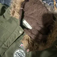 پالتو|لباس|شیراز, شهرک مدرس|دیوار