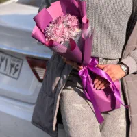 «انفجار قیمت»|گل و گیاه طبیعی|مشهد, هفت تیر (حافظ)|دیوار