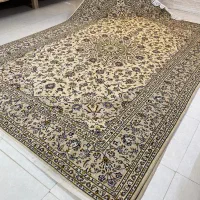 جفت نه متری کاشان کرم خاکی گوشتدار|فرش|همدان, |دیوار