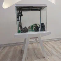 آکواریوم شرکتی