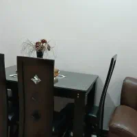 ناهار خوری و بوفه و فرش