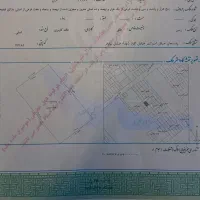 زمین-خیابان-نیلوفر