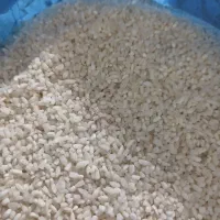 نیمدانه عنبر بو  حبه او نص