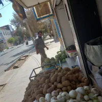 مغازه میوه فروشی
