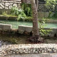 اجاره روزانه باغچه