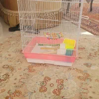 قفس پرنده