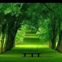 داوطلبانه کمک میکنم