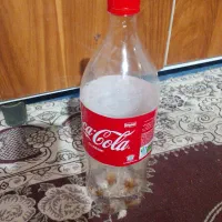 بطری نوشابه