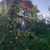 فروش-زمین-سند-دارشهرک-گلها