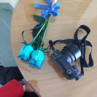 مدل برای عکاسی