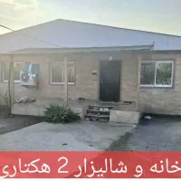 خانه ویلایی و شالیزار ( 20000 متر مربع)