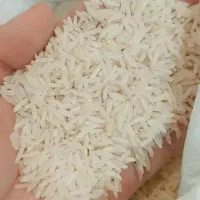 برنج فجر سوزنی ۹۰روزه درجه یک همراه توزیع کالابرگ